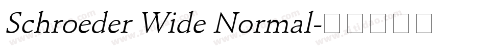 Schroeder Wide Normal字体转换